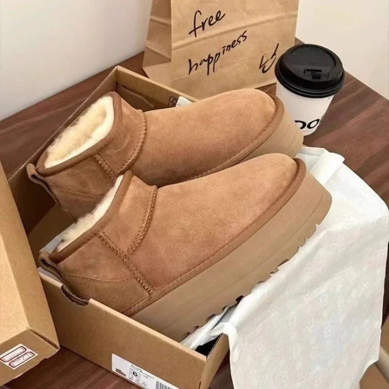 Nordlicht Boots